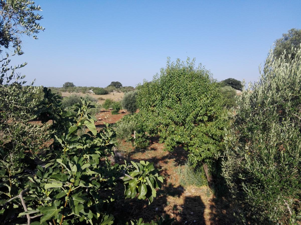 הוילה צ'לייה מספיקה A Casa Di Clio מראה חיצוני תמונה